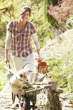 Woman with dog having coffee break whilst working outdoors in garden Stock Photos