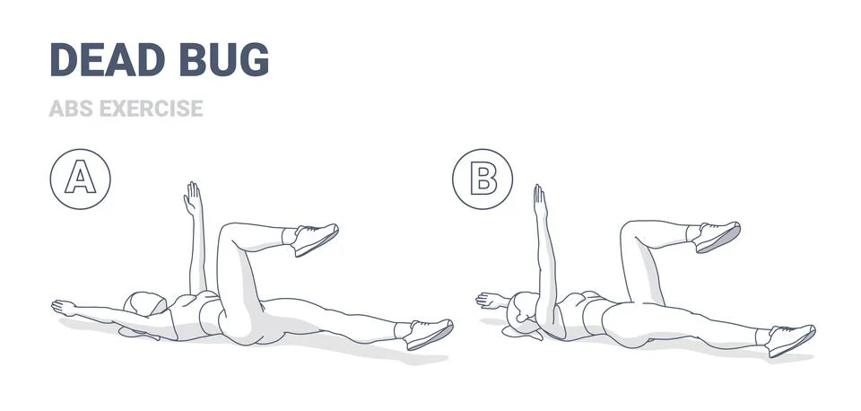Woman Doing Dead Bug Exercise Black and White Outlined Guidance イラスト素材