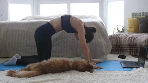 Woman doing exercise workout online personal trainer watching an online course Stock-Footage 150646524