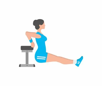 Woman doing triceps dip exercise on bench Stock Illustration