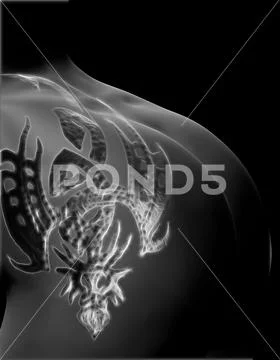 Woman, dragon, body,body art, 3d, tattoo,year of the dragon, illustrations, i Stock Illustration