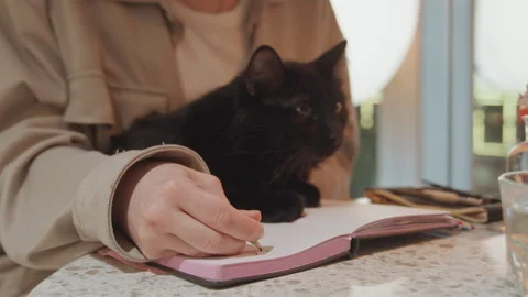 Woman drawing in open notebook while black cat rests on pages with soft daylight Stock Footage 345066864