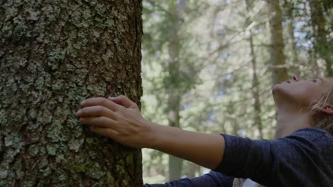 Woman with dreadlocks Touching  large pine tree in forest. Stock Footage 148326333
