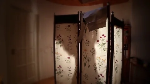 A woman dressed behind a folding screen Stock Footage 72118975