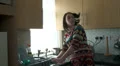 Woman dries hands to answer mobiile phone HD Footage