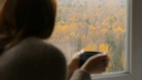 Woman drinking tea at the window Video stock 102849695