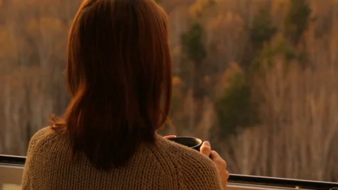 Woman drinking tea at the window Stock Footage 102850962