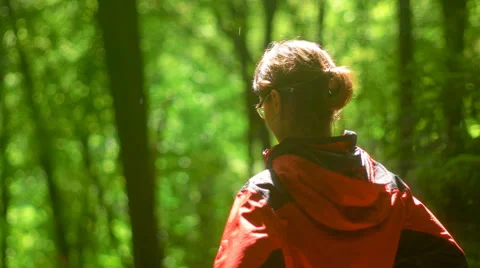 Woman Drying up in the Woods Stock Footage 65401677