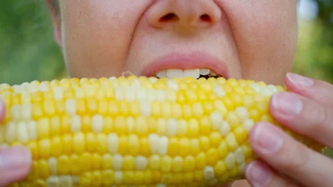 A woman eats corn Stock Footage 246978695