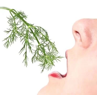 Woman eats a sprig of dill Stock Photos