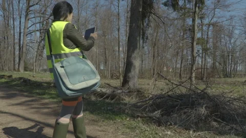 Woman environmental inspector is using tablet PC in the park Stock Footage 335518424
