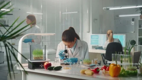 A woman examines a sample under a microscope and writes the data in a digital Vidéo 237810885