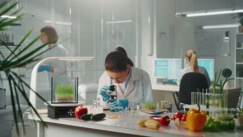 A woman examines a sample under a microscope and writes the data in a digital Vidéo 237810921
