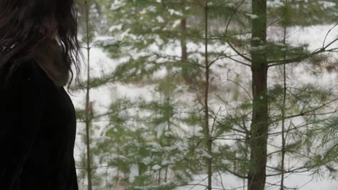 Woman examining young pine tree covered with snow in winter forest Stock Footage 319462349