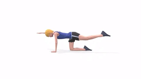 Woman exercise animation Bug Stock Footage 146728225