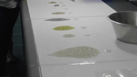A woman explaining Sorting of raw diamonds Video stock 169100189