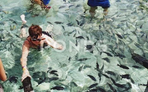 Woman explores sea life, Mexico Stock Photos