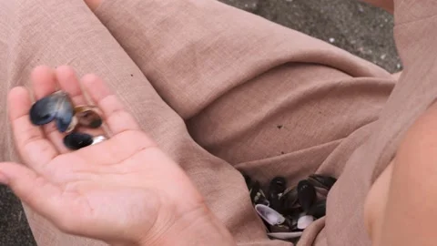 Woman explores unique shells while sitting on a sandy beach. Видео 301922901