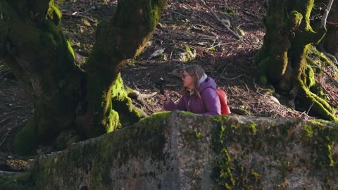 Woman exploring mossy forest with camera Stock Footage 285359070