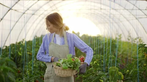 Woman farmer in apron harvesting greens ... | Stock Video | Pond5