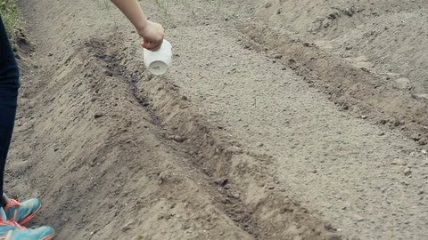 Woman farmer Video stock 80770177
