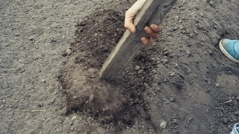 Woman farmer 動画素材 80770512