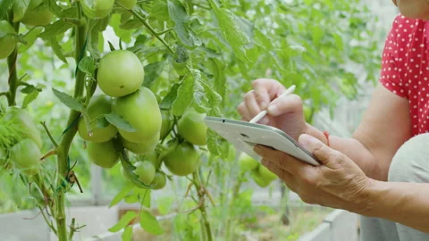Woman farmer writes notes in tablet Stock Footage 232676113