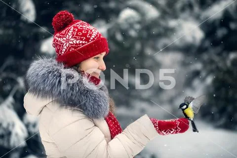Woman feed the bird in the park Stock Photos