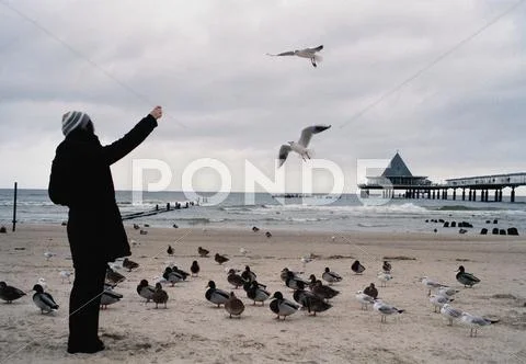 Woman Feeding Birds On A Beach