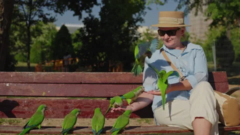 Woman feeding monk parakeets while sitting on bench in Ciutadella Park Video stock 337112193