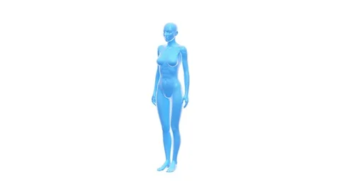 3d female body simulator 3d female body simulator