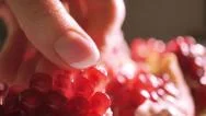 Woman Fingers With Beautiful Nail Polish Picking One Pomegranate Seed. Macro Stock Footage