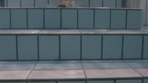 Woman with Flip Flops Walking Down the Staircase in Swimming Pool Stock Footage 121084534