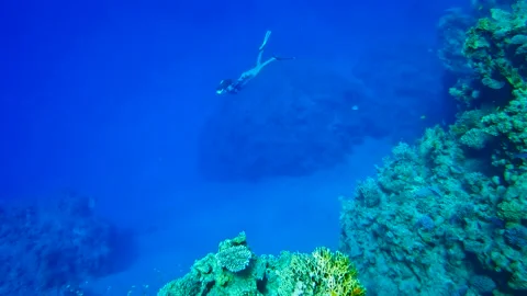 Woman freediving deep underwater freediving in clear blue water of Red Sea Stock Footage