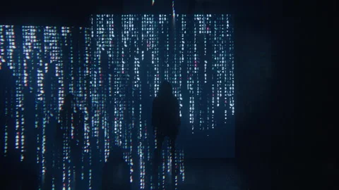 Woman in Front of Large Computer Screen Scrolling Digital Binary Code, Dark Room Stock Footage 219586143