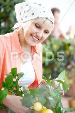 A woman gardener sprinkling a plant Stock Photos