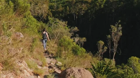Woman in gray leggings, backpack and walking stick walks along a hiking path to Stock Footage 306700053