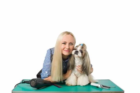 Woman groomer with funny and cute shih-tzu dog Stock Photos