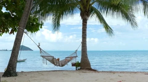Woman in the hammock Stock Footage 62555404
