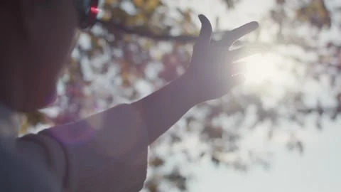 Woman hand feel sun light or sunlight tree canopy close up lens flare Stock Footage 171185414