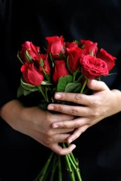 Woman hand holding a bouquet og fresh red roses Stock Photos