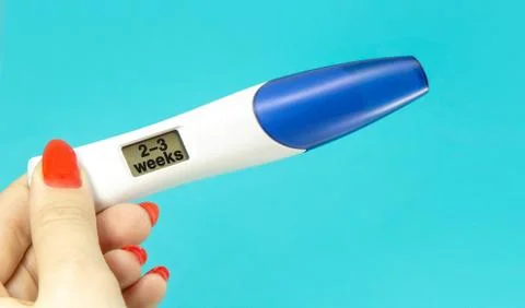 Woman hand holding digital pregnancy test isolated on blue color. The early Stock Photos