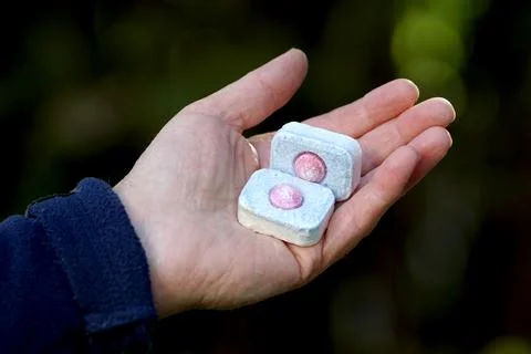 Woman hand holding solid tablets for washing dishes in a dishwasher 스톡 사진