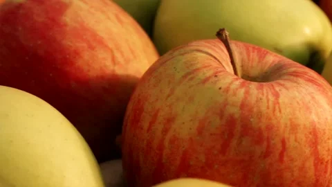 Woman hand picking perfect red apple under warm morning sun Stock Footage 339299501