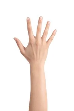 Woman hand showing the five fingers Stock Photos