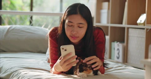 Woman Hand Using Smartphone while Stroking Calico Cat Head on Bed Видео 334583872