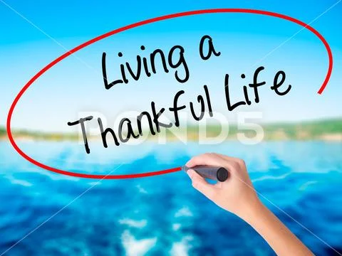 Woman Hand Writing Living a Thankful Life with a marker over tra Stock Photos