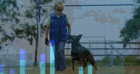Woman handler giving cue and walking dog for training, animated charts Video stock 333965564