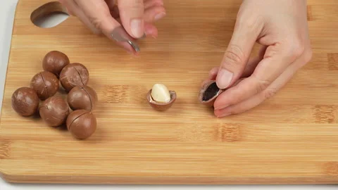Woman Hands Cracking Macadamia Nuts with Metal Tool. Stock Footage 332836227