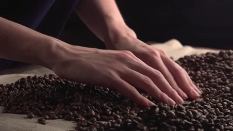 Woman hands sorting poor quality's of rusted coffee beans Stock Footage 82149207